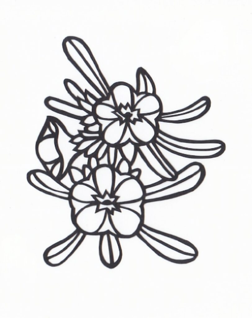 カリブラコアの花図案